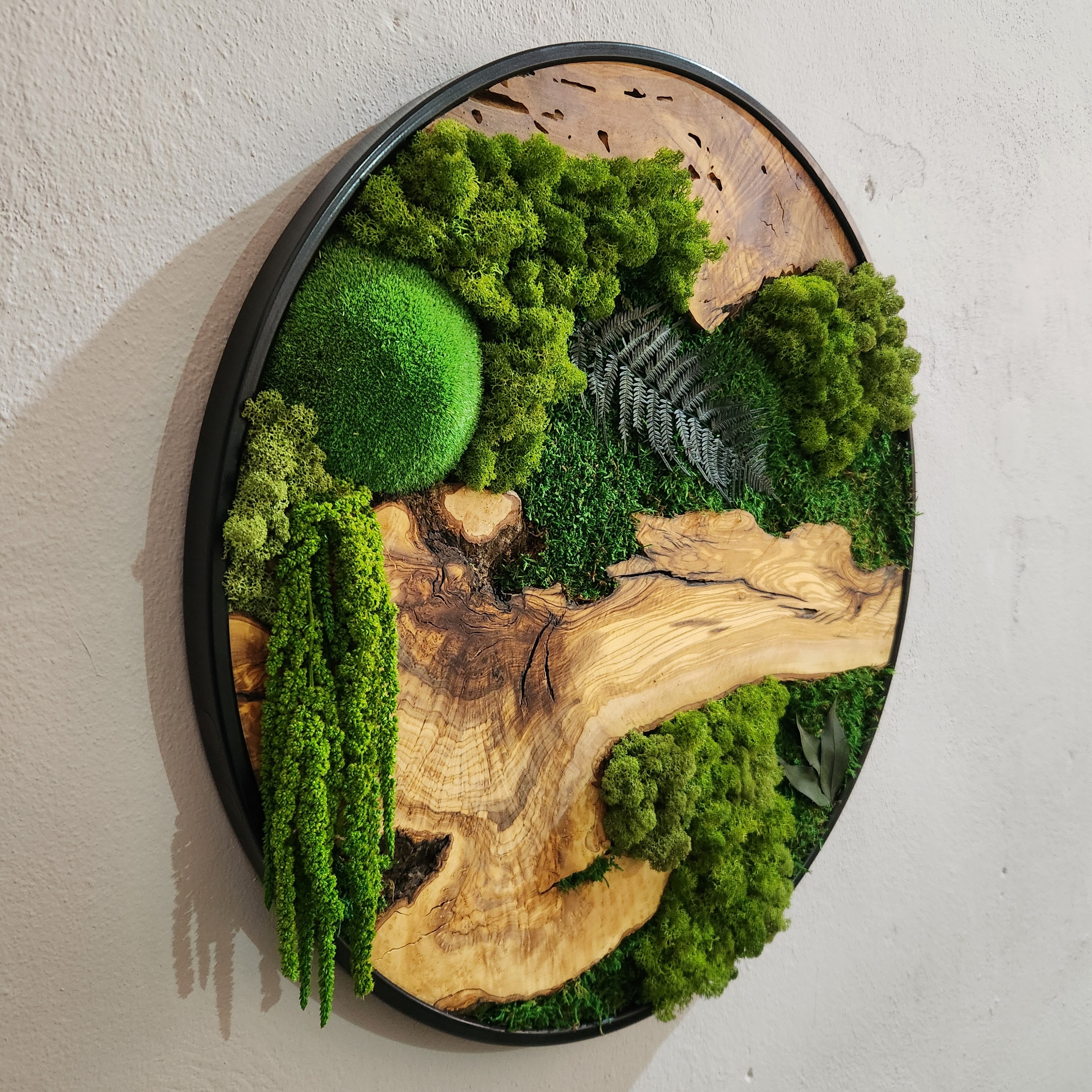 Custom Made Moss and Olive Wood Wall Art, Metal Frame Moss Wall Decor, Olive Wood and Moss Wall Art- Preserved Stabilized Moss Wall Decor