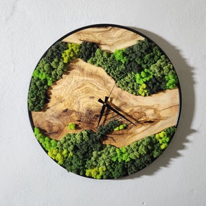 Reloj de pared de madera de olivo de musgo personalizado, reloj de pared de metal y madera de olivo, reloj de pared de madera de olivo y arte de pared de musgo, musgo estabilizado conservado