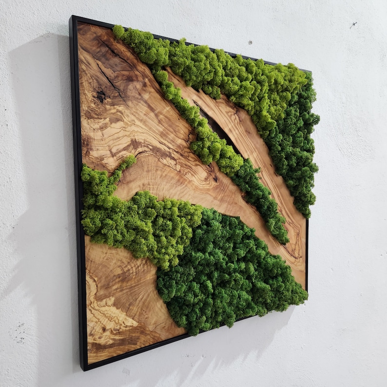 Custom Made Moss and Olive Wood Wall Art, Metal Frame Moss Wall Decor, Olive Wood and Moss Wall Art Preserved Stabilized Moss Wall Decor image 2