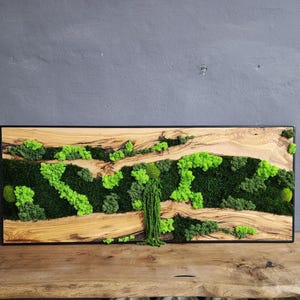 Handcrafted Moss & Olive Wood Wall Art: Rustic Greenery Decor