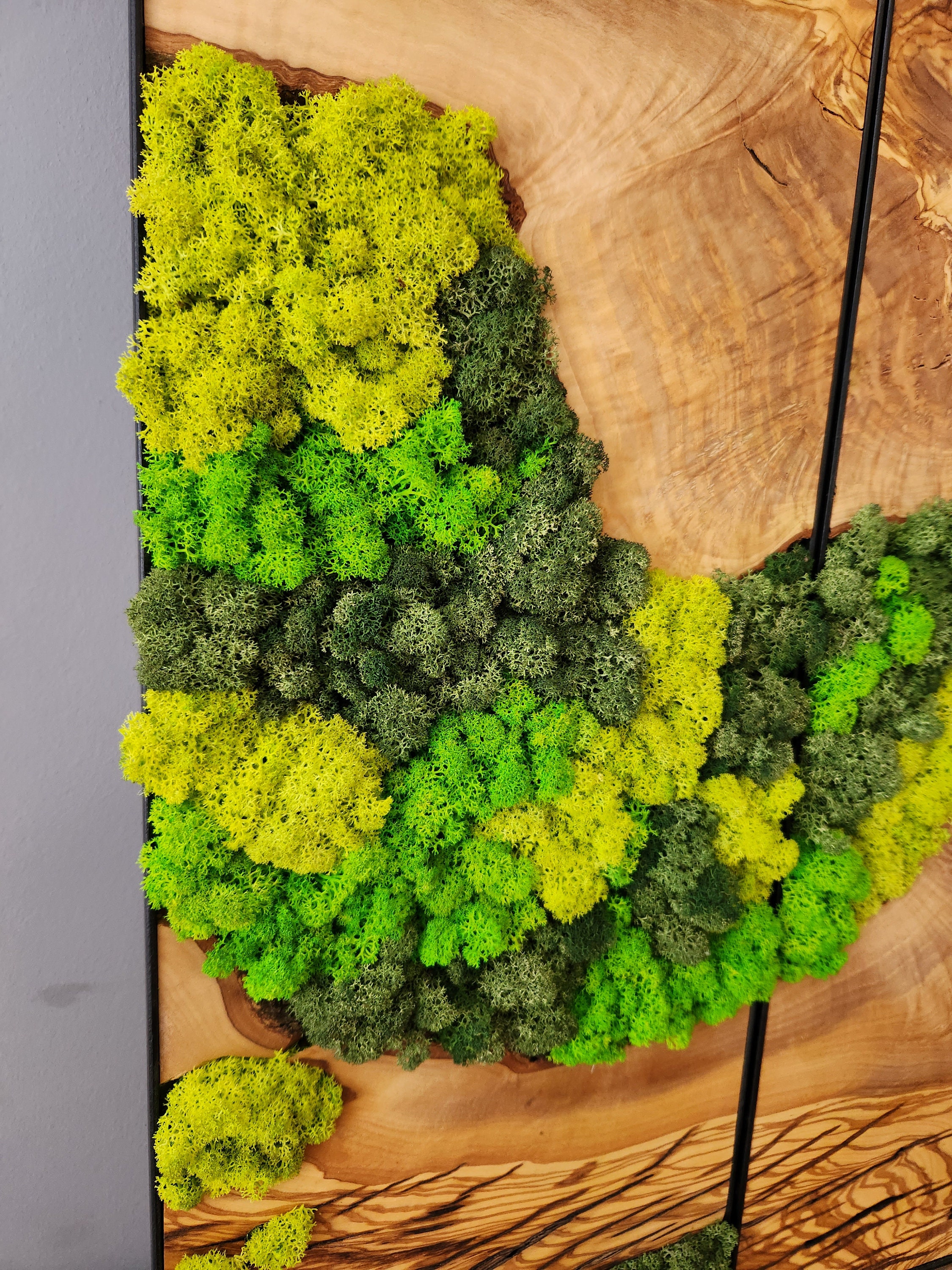  OSALADI 1 Moss for Plants Decor Green Moss for Crafts
