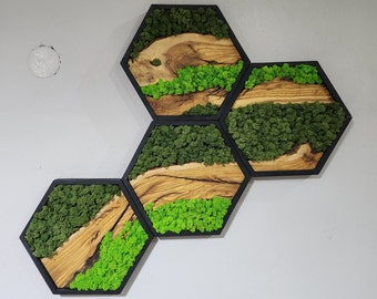 Hexagon Preserved Moss Wall Art: Olive Wood Frame, Black Finish