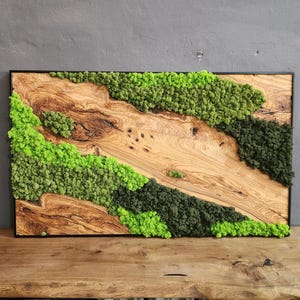 Handcrafted Moss & Olive Wood Wall Art: Rustic Greenery Decor