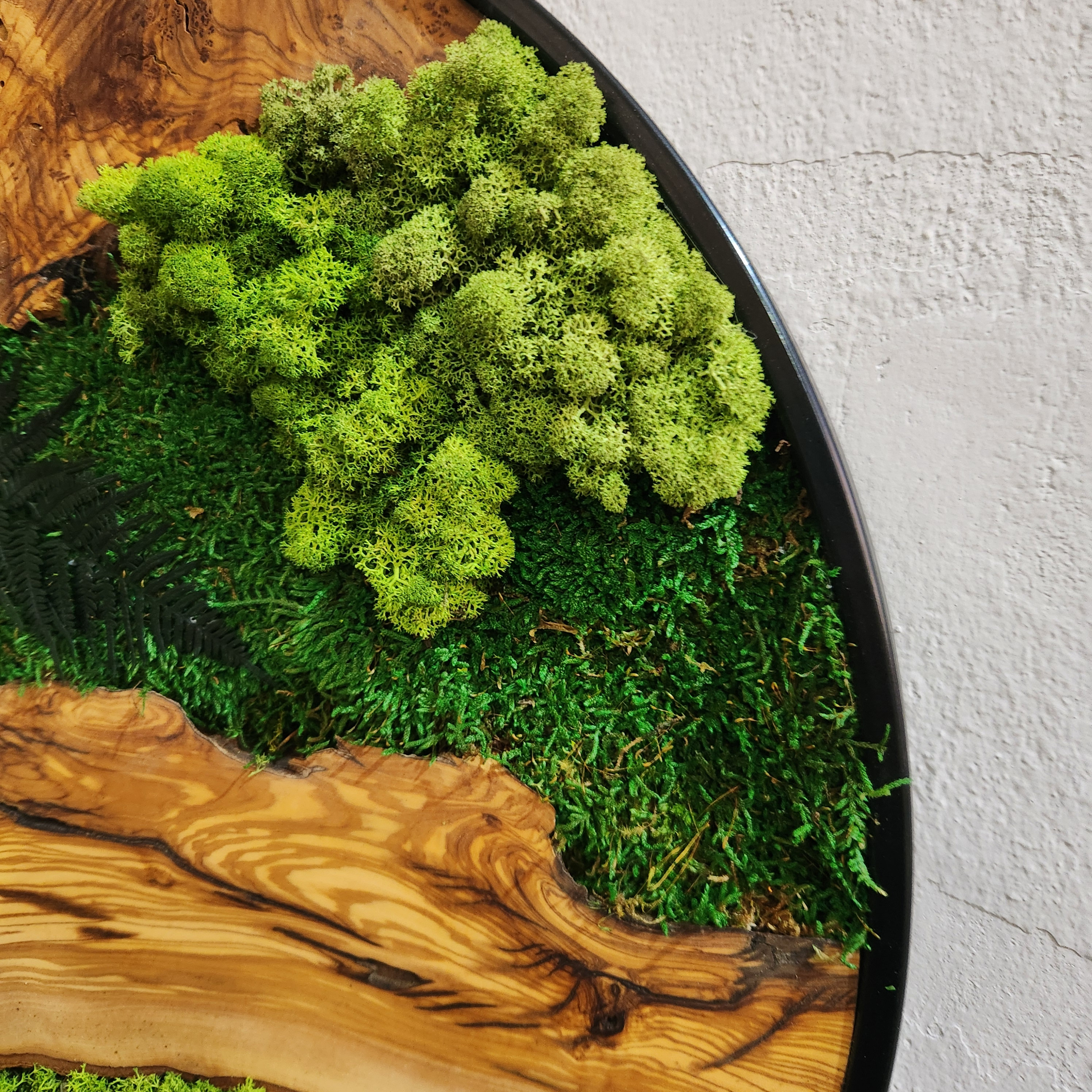 Custom Made Moss and Olive Wood Wall Art, Metal Frame Moss Wall Decor, Olive Wood and Moss Wall Art- Preserved Stabilized Moss Wall Decor
