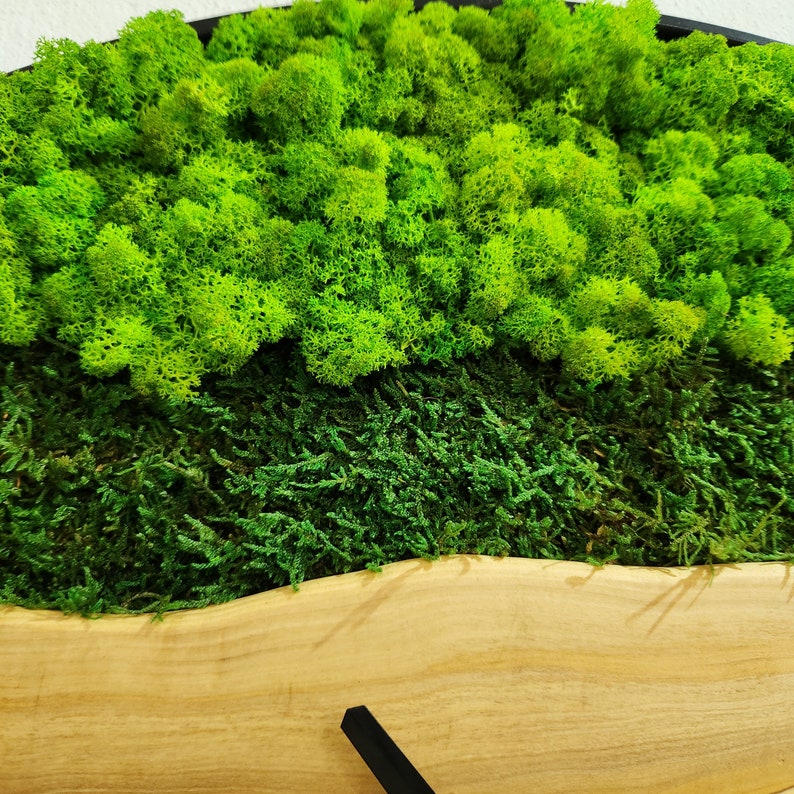 Custom Moss and Olive Wood Wall Clock With Metal Frame - Etsy