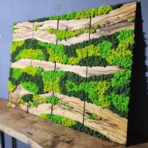 Preserved Moss Wall Art: Olive Wood Decor, Botanical Gift