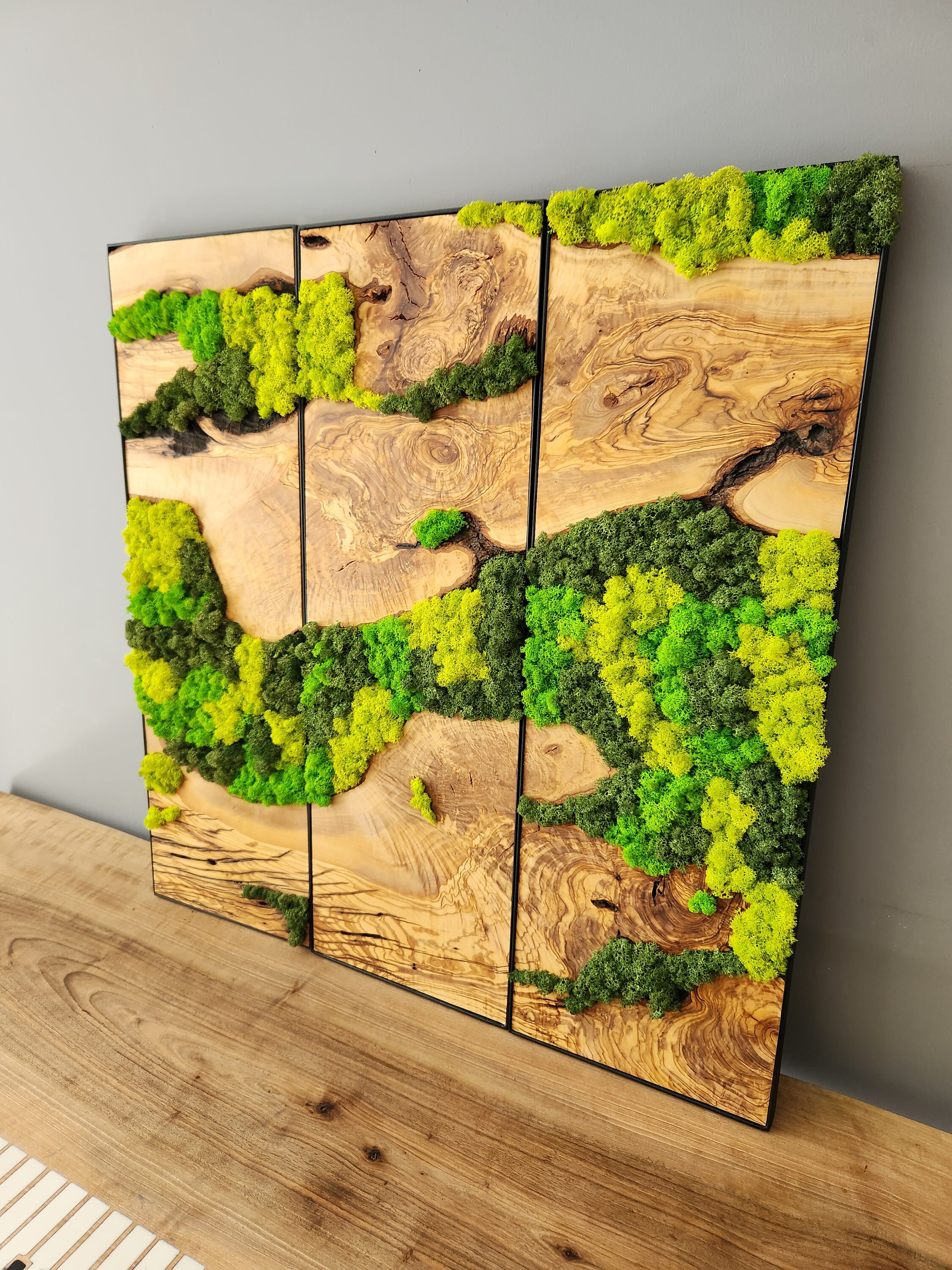 Moss Wall Art 48x24 – HollyBee and Company