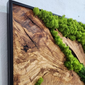 Custom Made Moss and Olive Wood Wall Art, Metal Frame Moss Wall Decor, Olive Wood and Moss Wall Art Preserved Stabilized Moss Wall Decor image 4