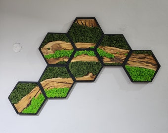 Hexagon Preserved Moss Wall Art: Olive Wood & Black Frame