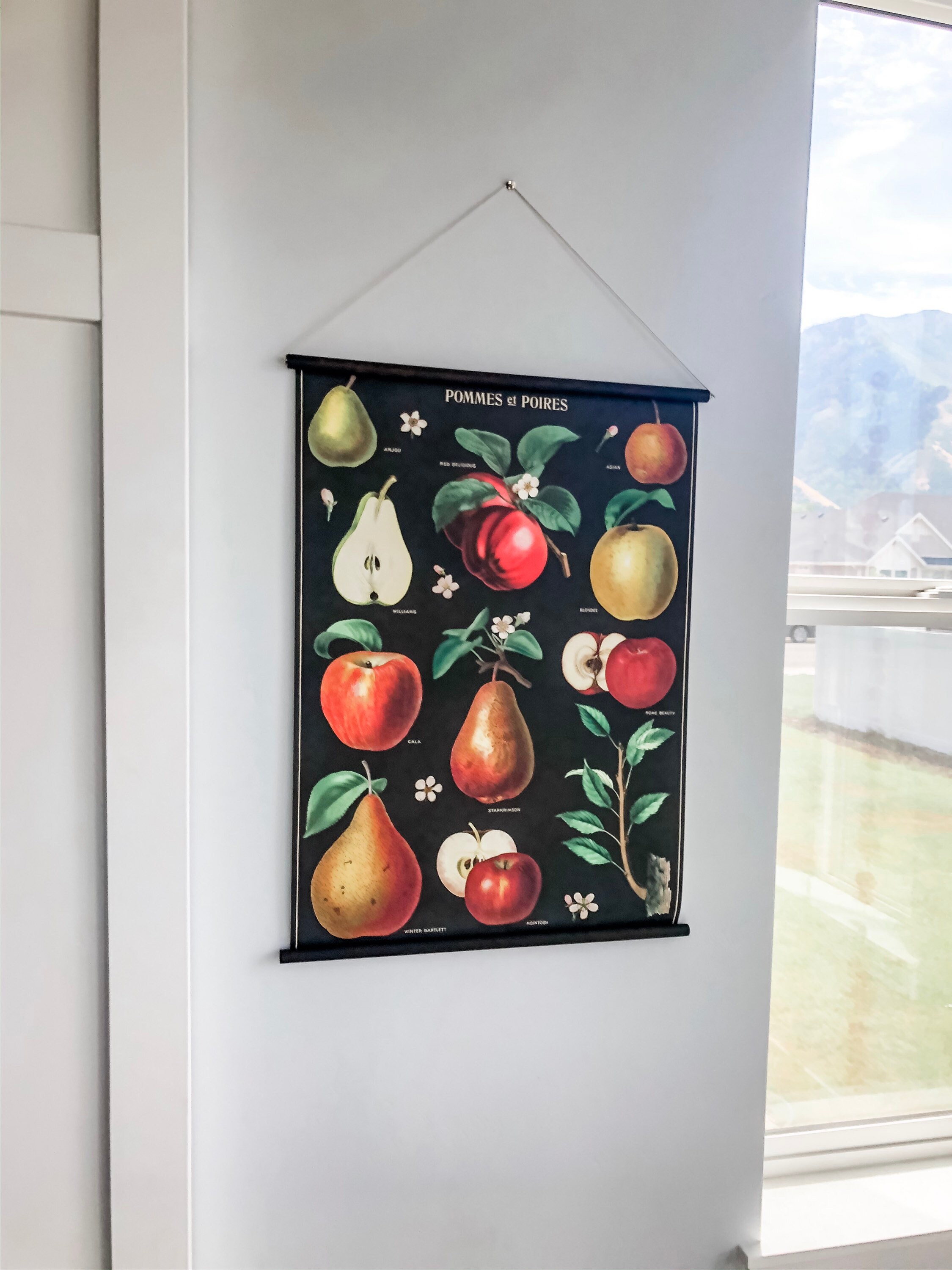 Vintage Apple and Pear Poster Ready-to-hang | Etsy