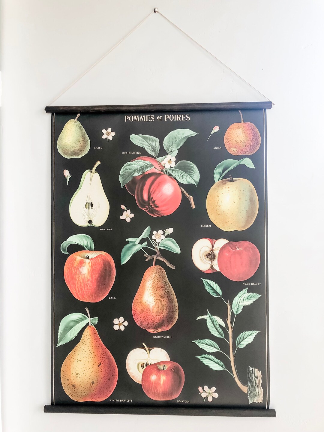 Vintage Apple and Pear Poster Ready-to-hang - Etsy