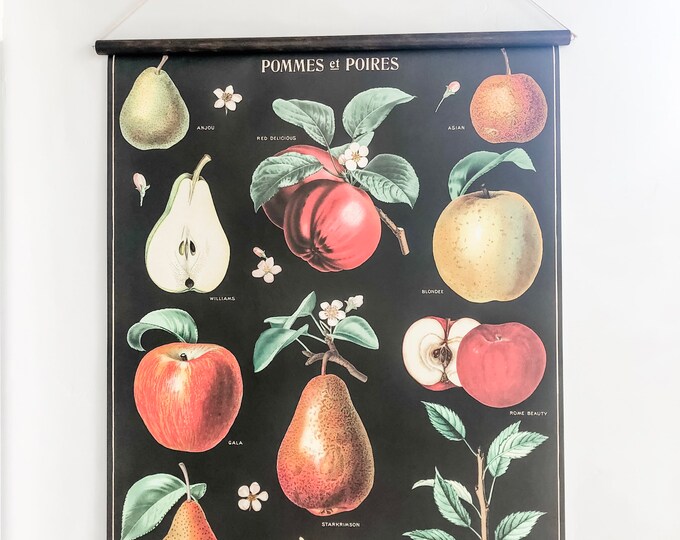Vintage Apple and Pear Poster Ready-to-hang - Etsy