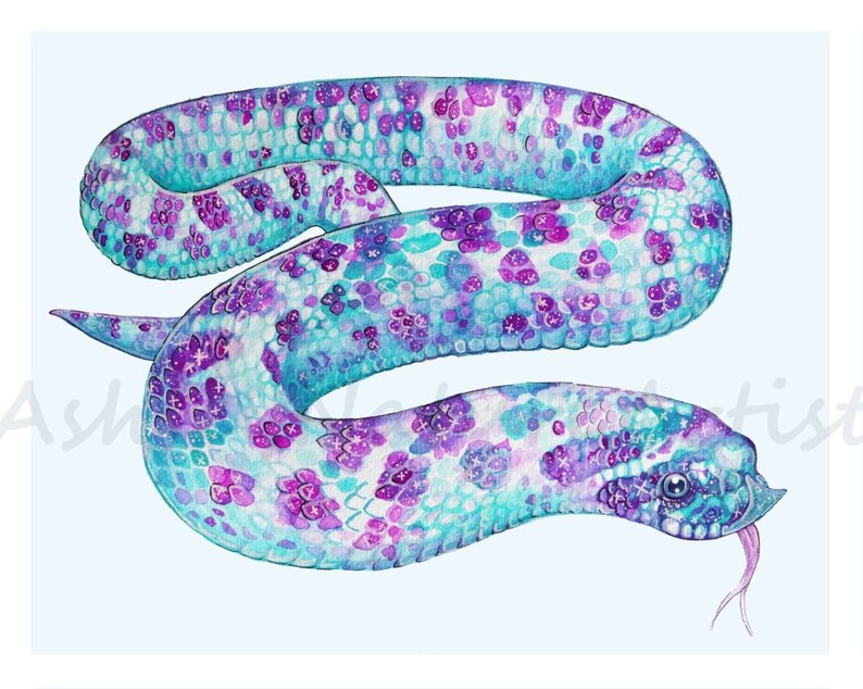 Galaxy Hognose Snake Signed Art Print - Etsy UK