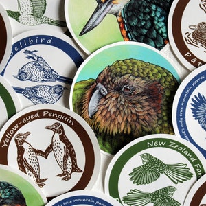 Op de afbeelding: Een verzameling ronde stickers met illustraties van verschillende Nieuw-Zeelandse vogels. De stickers zijn gedrukt op wit papier met een bruine, groene of blauwe rand. De vogels omvatten een geeloogpinguïn, een kākāpō, een kōkako, een pūkeko, een kererū, een  Nieuw-Zeelandse valk en een  Nieuw-Zeelandse  papegaai.