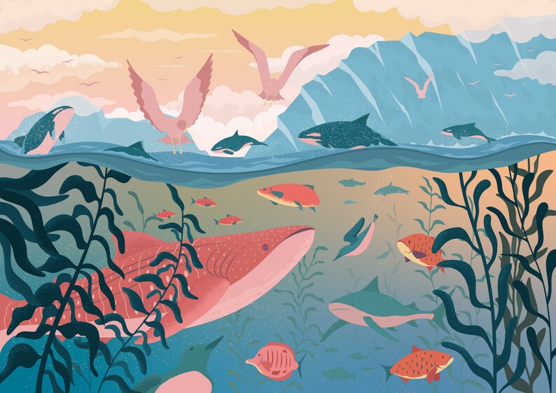 Life in the Ocean