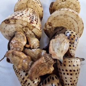 Antieke Oude SEPIK regio Nieuw-Guinea CONUS SHELL geld tribal ketting