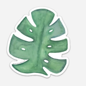 May include: A green watercolor illustration of a monstera leaf with a white outline. The leaf has a unique shape with holes and a textured appearance. The text "Mad Kitchen Co." is visible in the lower left corner of the leaf.