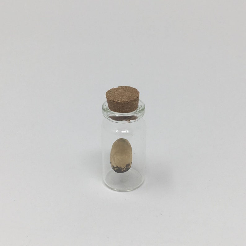 little handmade eggs hanging in small glass bottles