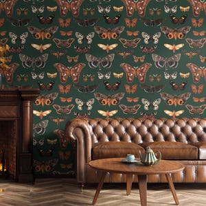 Vintage butterfly wallpaper – Dark green moth wall mural, Removable Peel and Stick or Traditional wallpaper for living room, study, bedroom
