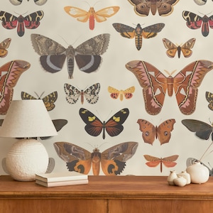 Vintage butterflies wallpaper Removable Peel and Stick Beige wall mural Botanical room decor Canvas textured wallpaper