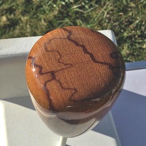 May include: A brown, globe-shaped wooden shift knob with a glossy finish. The top surface has a textured appearance with darker brown, vein-like patterns. The knob is mounted on a white stem, suggesting a car interior accessory.