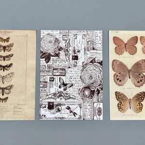 15 alte Bilder Schmetterlinge, Collagenpapier, 10 x 14 cm, vintage, Ephemera für Junk Journals, Planer, Scrapbooking, Bullet Journals Bild 5