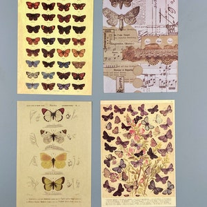 15 alte Bilder Schmetterlinge, Collagenpapier, 10 x 14 cm, vintage, Ephemera für Junk Journals, Planer, Scrapbooking, Bullet Journals Bild 2