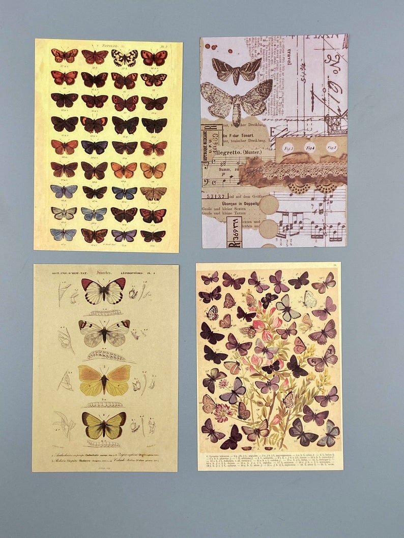15 alte Bilder Schmetterlinge, Collagenpapier, 10 x 14 cm, vintage, Ephemera für Junk Journals, Planer, Scrapbooking, Bullet Journals Bild 2