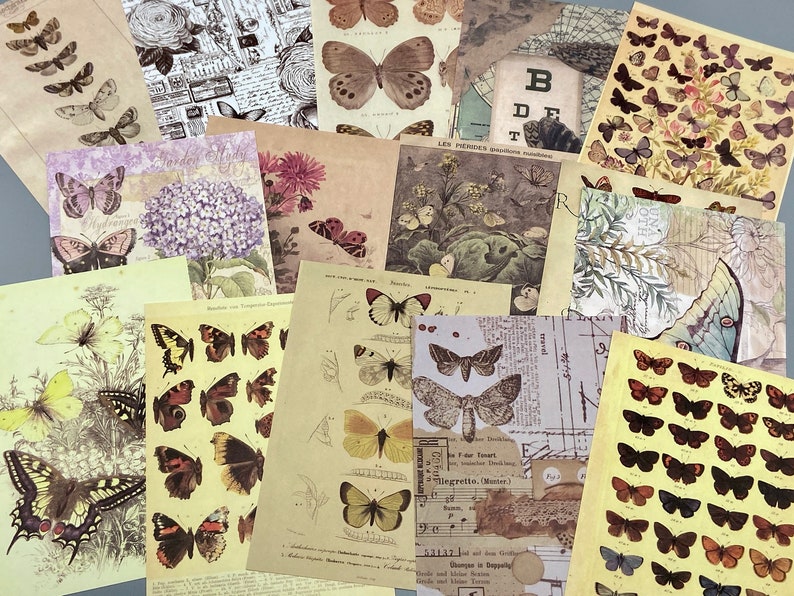 15 alte Bilder Schmetterlinge, Collagenpapier, 10 x 14 cm, vintage, Ephemera für Junk Journals, Planer, Scrapbooking, Bullet Journals Bild 1
