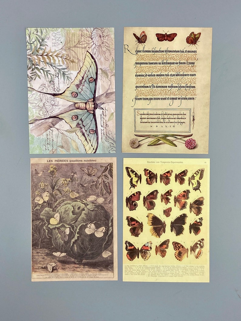 15 alte Bilder Schmetterlinge, Collagenpapier, 10 x 14 cm, vintage, Ephemera für Junk Journals, Planer, Scrapbooking, Bullet Journals Bild 3