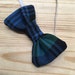 Ramsay Blue Hunting Tartan Bow Tie main image 1