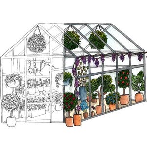 Página para colorir para imprimir, estufa de jardim, cartões DIY desenhados à mão, decoração para casa, página para colorir urbana, decoupage, artesanato 3D