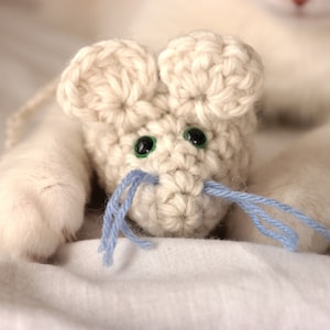 Cat Toy Mouse With Catnip, Catnip Toys, 100% wool in and out, Pet toys, Mice for Cats, Gift for Cat, Pet Supplies, Rat cat toy - beige/green