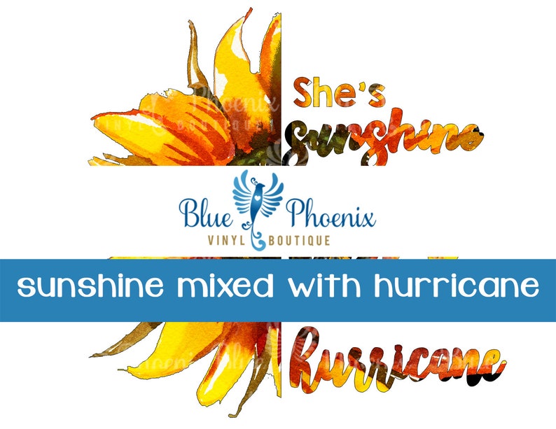 Free Free 258 Sunflower Hurricane Svg SVG PNG EPS DXF File