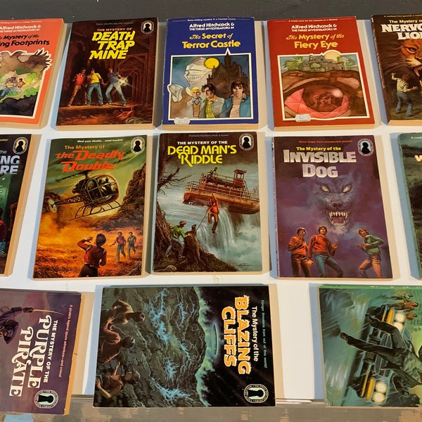 One “The Three Investigators” Mystery books keyhole chose from: Blind beggar, Purple Pirate, terror castle, fiery eye, dead man’s riddle,