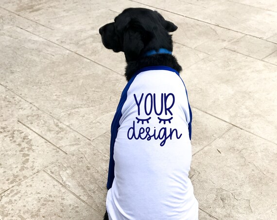 Download Dog T Shirt Dog Model Blue Raglan Long Sleeve T Shirt 64848 Mockups Free Psd Templates