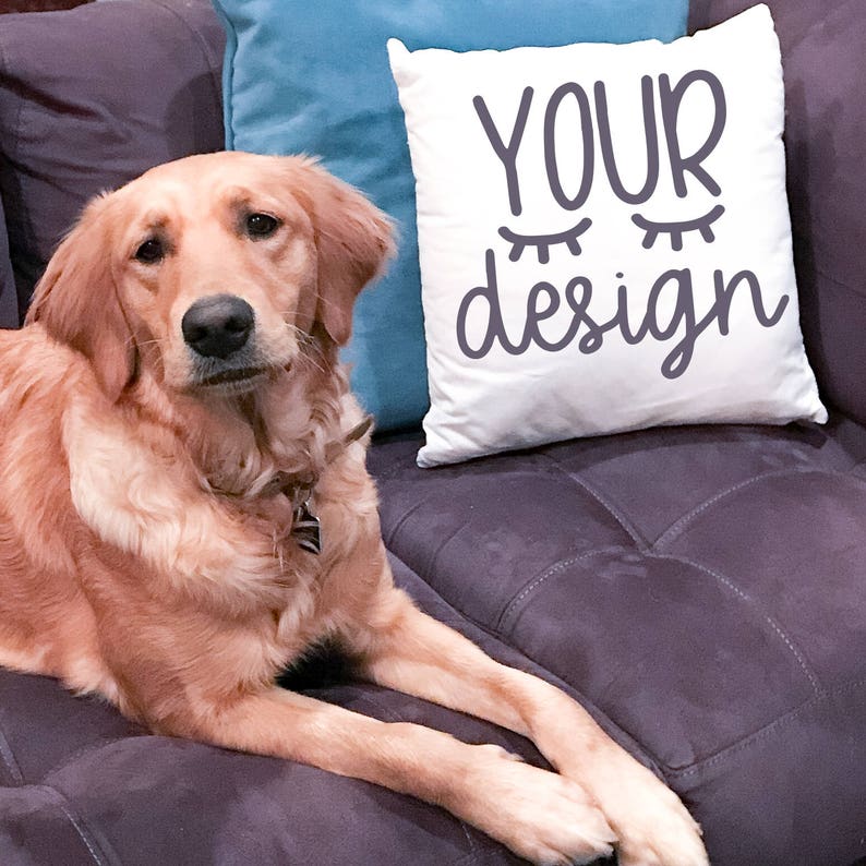 Download White mock up blank pillow dog recommended by shorts and ...