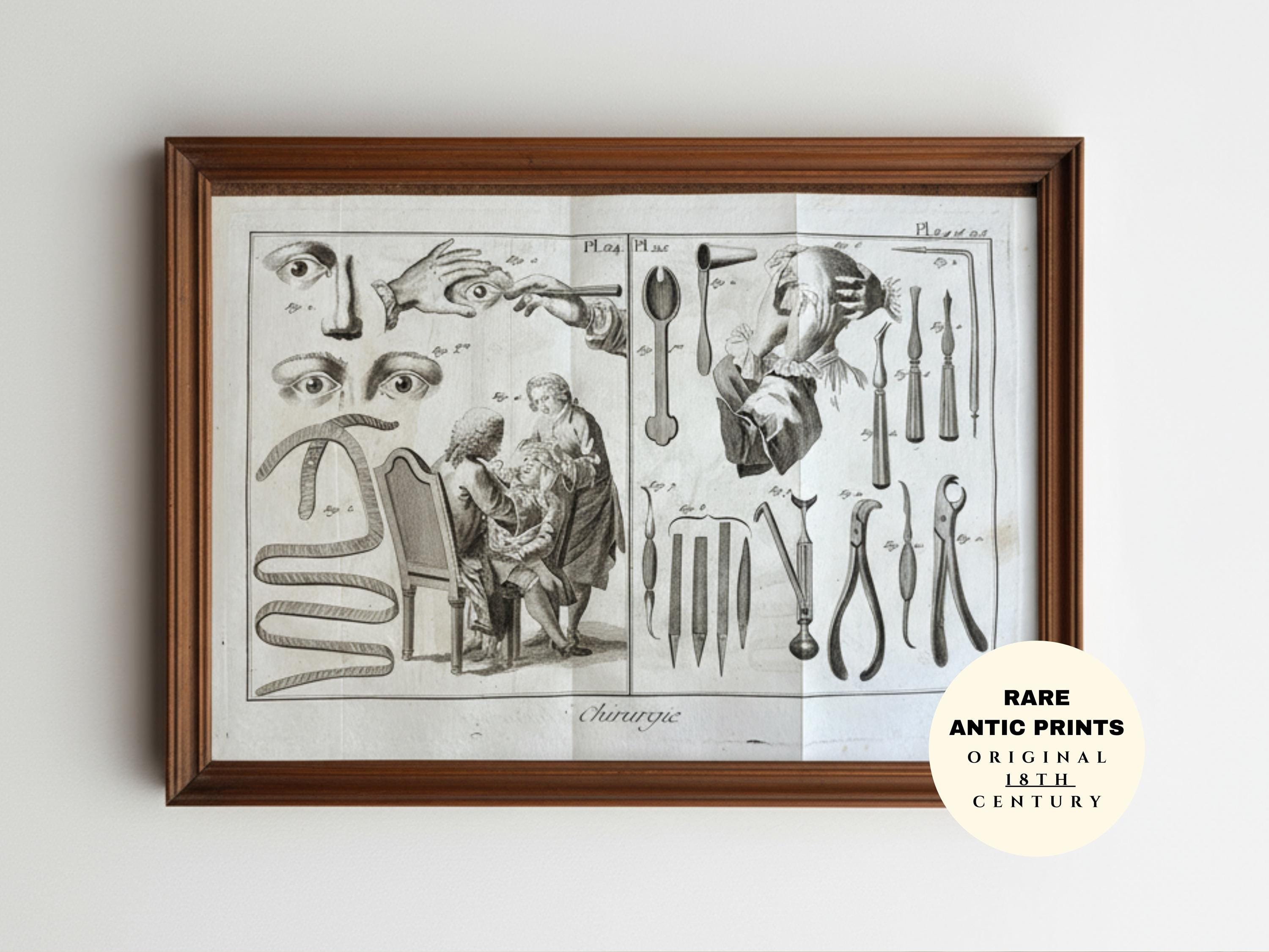 古い銅版画 - Etsy 日本
