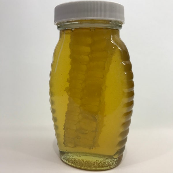 Chunk Honey - Honey with Comb - Minnesota Raw Honey