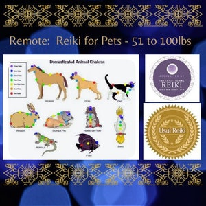 May include: Image with text: "Remote: Reiki for Pets - 23 to 45 kg." The image shows a diagram of animal chakras, and logos for the International Reiki Organization and Usui Reiki.