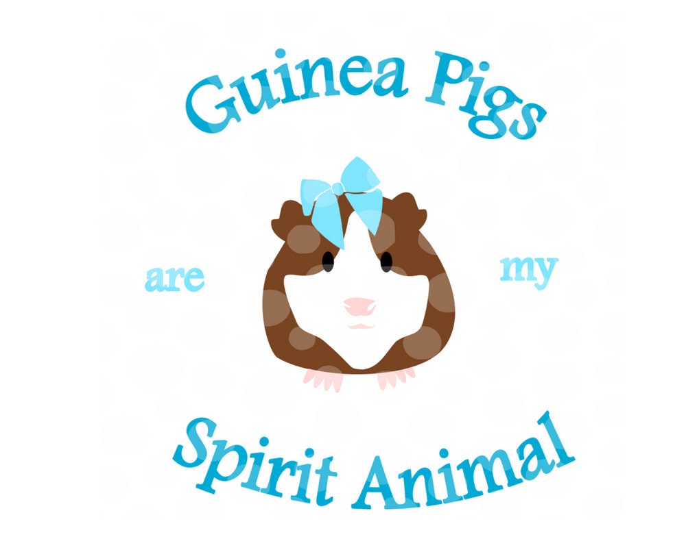 Download Guinea Pig svg spirit animal svg cavies cavy svg file | Etsy