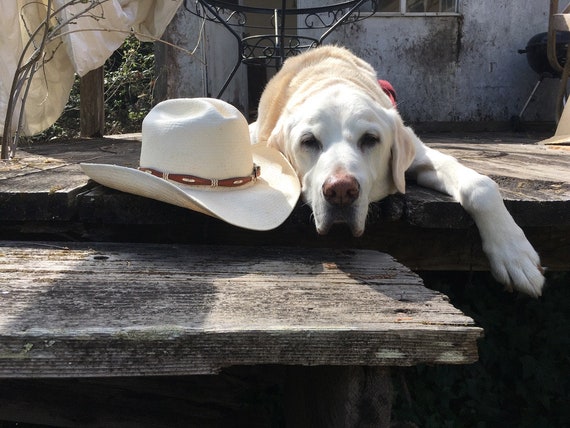 SOLD Genuine Cowboy Hat in Silk Shantung - image 1