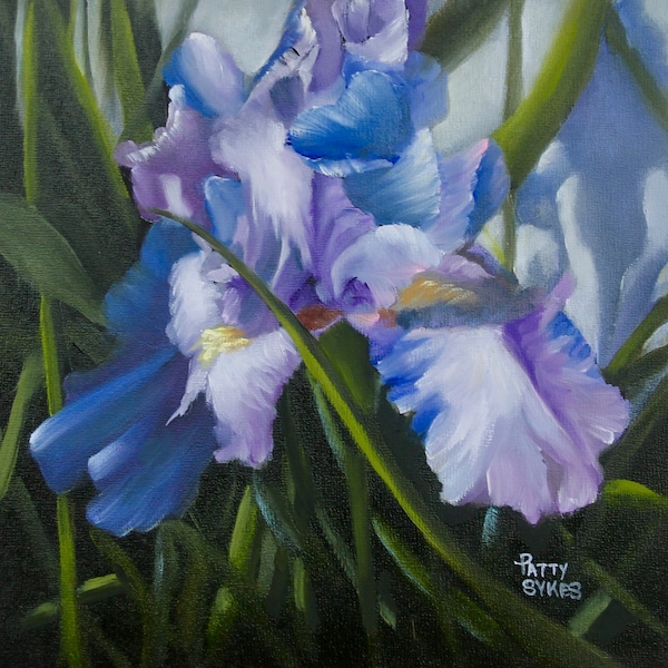 Bearded Iris, 8" x 8", Original Oils on Linen Panel