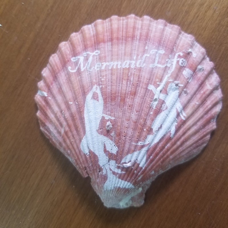 Engraved Shell - Etsy