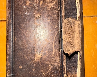Antique 1884 Het Nieuwe-1916 Dutch New Testament Bible.