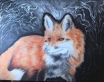 Red Fox Night