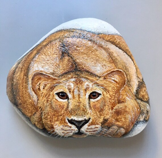 Young Lion Hand Painted Rock By Nancy Davies Rock Art Etsy