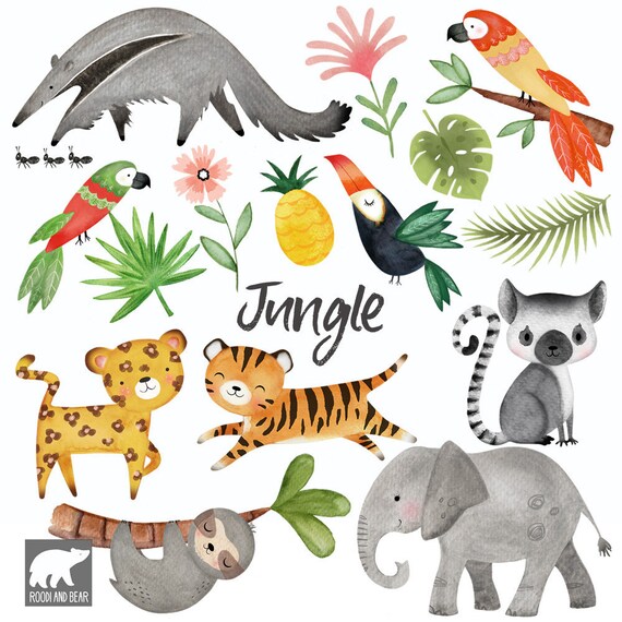 Watercolour Jungle Clipart Jungle Animals Hand Painted Etsy Watercolour Jungle Clipart Jungle Animals Hand Painted Etsy