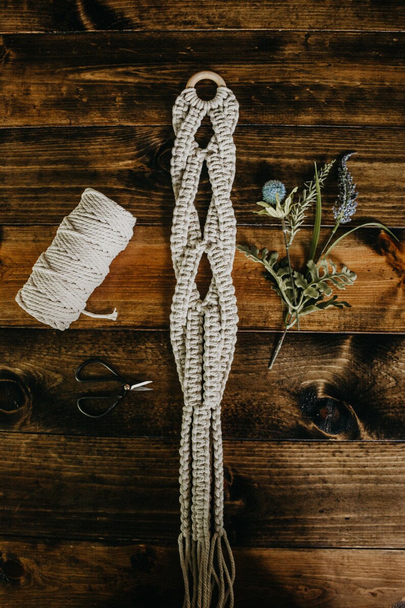 May include: A beige macrame plant hanger with a wooden ring at the top. The hanger is hanging from a dark brown wooden surface. There is a ball of beige twine, a pair of scissors, and a sprig of greenery with blue flowers on the surface.