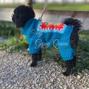 May include: A black dog wearing a blue crocheted sweater with a colorful crocheted design on the back. The sweater has the text "by Gipsy Queen" on the back.